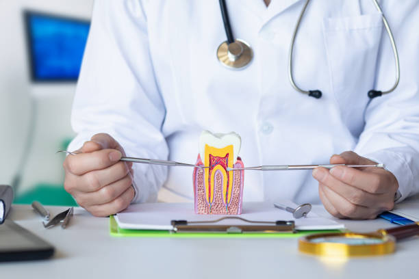 Best Emergency Care for Gum Disease in Sloan, IA